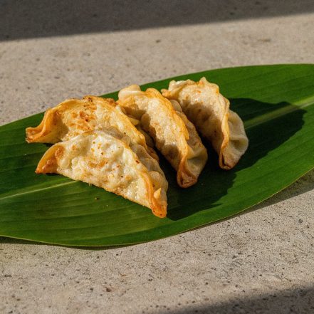 Veggie Gyoza